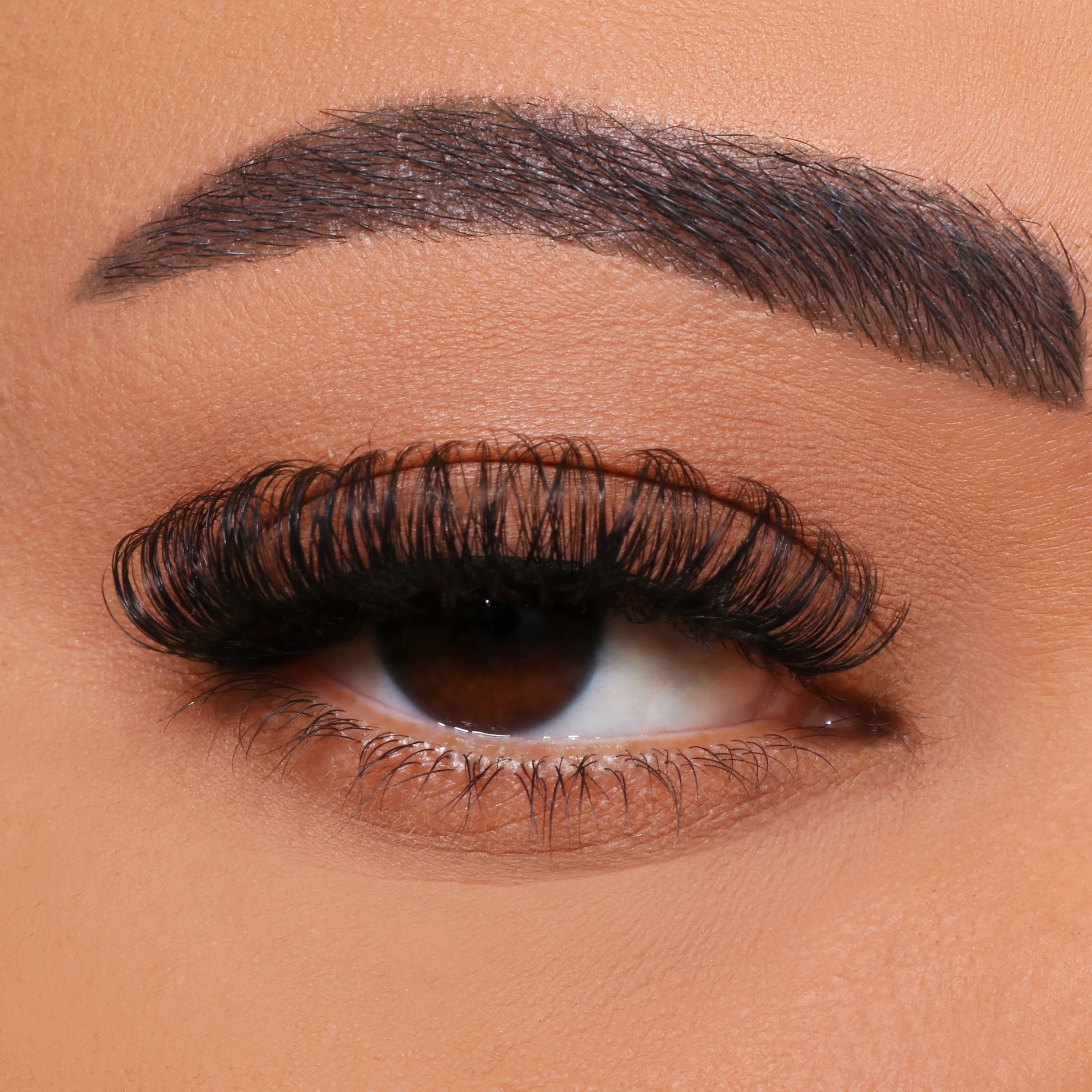 Kā DIY daudzziedu skropstu potēšana?